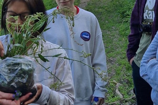 Charnwood Foraging
