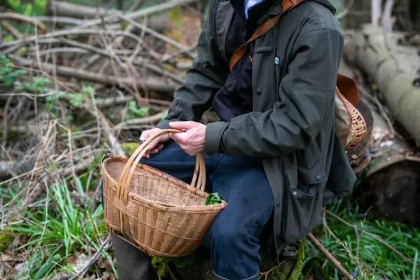 Cowdray Estate Foraging