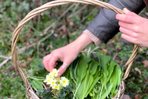 Foraged by Fern