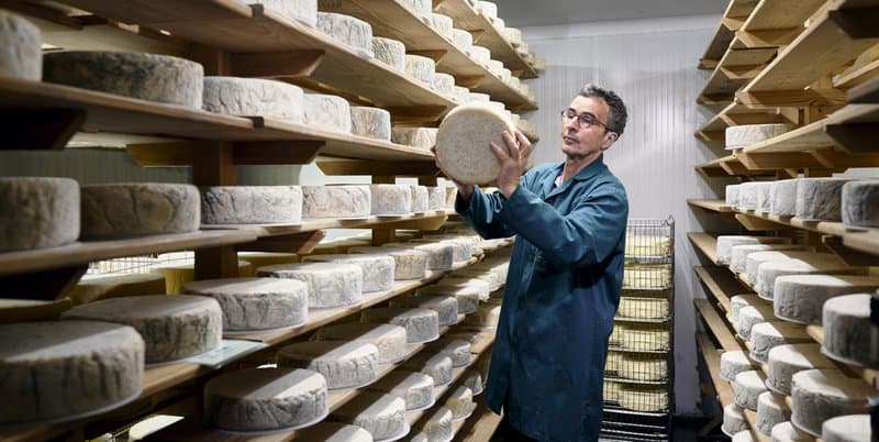 Sussex High Weald Dairy